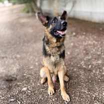 Thumbnail photo of Mikey #1