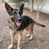 Thumbnail photo of Mikey #2