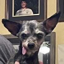 Thumbnail photo of Gremlin(Poncho)~ #3