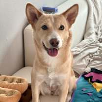 Thumbnail photo of Dorothy #2