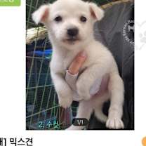 Thumbnail photo of Yeonyu #2