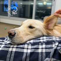 Thumbnail photo of Denny #3