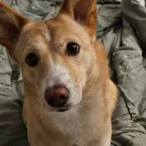 Thumbnail photo of Dorothy #1