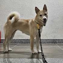 Thumbnail photo of Dorothy #4