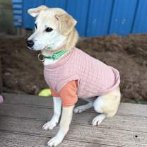 Thumbnail photo of Biki #3