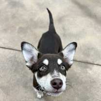 Thumbnail photo of JAZZY #3