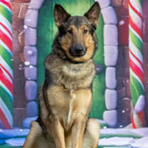 Thumbnail photo of Dean #4