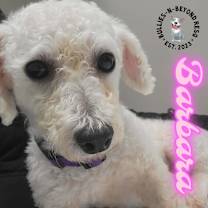 Thumbnail photo of Barbara #1