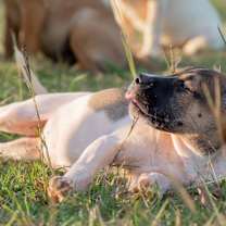 Thumbnail photo of Tippy #4