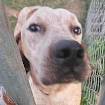 Thumbnail photo of Clyde #1