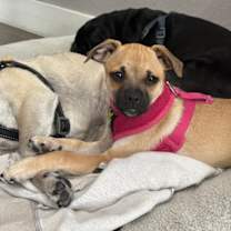 Thumbnail photo of Candace #3