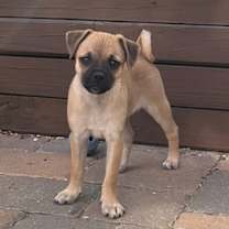 Thumbnail photo of Candace #4