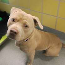 Thumbnail photo of Frank #1