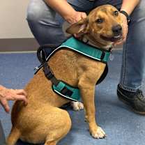 Thumbnail photo of Buzzy Aldrin #2