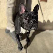 Thumbnail photo of Gigi #4