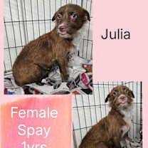 Thumbnail photo of Julia #2