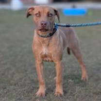 Thumbnail photo of Annabelle #3