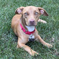 Thumbnail photo of Anna #3