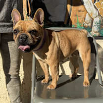 Thumbnail photo of Lovely #2