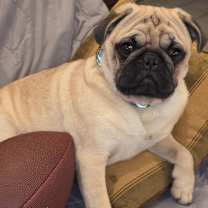 Thumbnail photo of Mr. Potato  #1