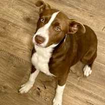 Thumbnail photo of Wanda #2