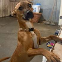 Thumbnail photo of Jorge #1