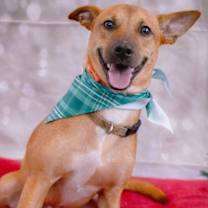 Thumbnail photo of Jorge #1