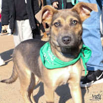 Thumbnail photo of Mirana #1