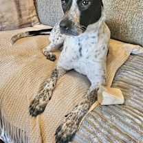 Thumbnail photo of Sophie 1 in CT #2