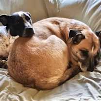 Thumbnail photo of Sophie 1 in CT #3