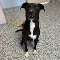 Thumbnail photo of Olivia #1