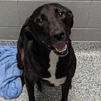 Thumbnail photo of Olivia #2