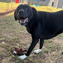 Thumbnail photo of Olivia #3