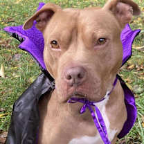 Thumbnail photo of Wyatt #3