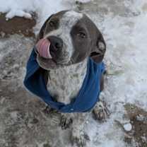 Thumbnail photo of Reptar #2