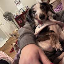 Thumbnail photo of Zo #3