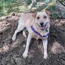 Thumbnail photo of Leia #2