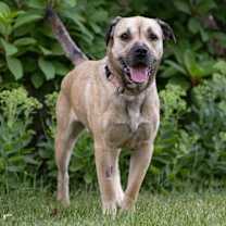 Thumbnail photo of Darnell #1