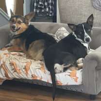 Thumbnail photo of Sandy #4