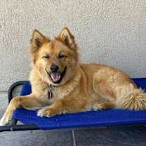 Thumbnail photo of Lacie (Maci) #1