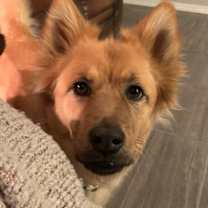 Thumbnail photo of Lacie (Maci) #2