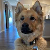 Thumbnail photo of Lacie (Maci) #3