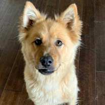 Thumbnail photo of Lacie (Maci) #4