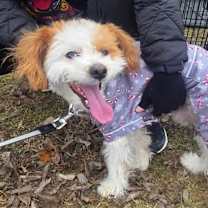 Thumbnail photo of Rocket #3