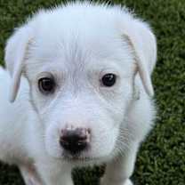 Thumbnail photo of Minnie #4