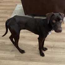 Thumbnail photo of Duck #2