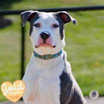 Thumbnail photo of Arlo #1