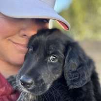 Thumbnail photo of Summer's Puppy Halo #2