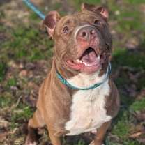 Thumbnail photo of Little Green Man #2