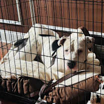 Thumbnail photo of Disney #2